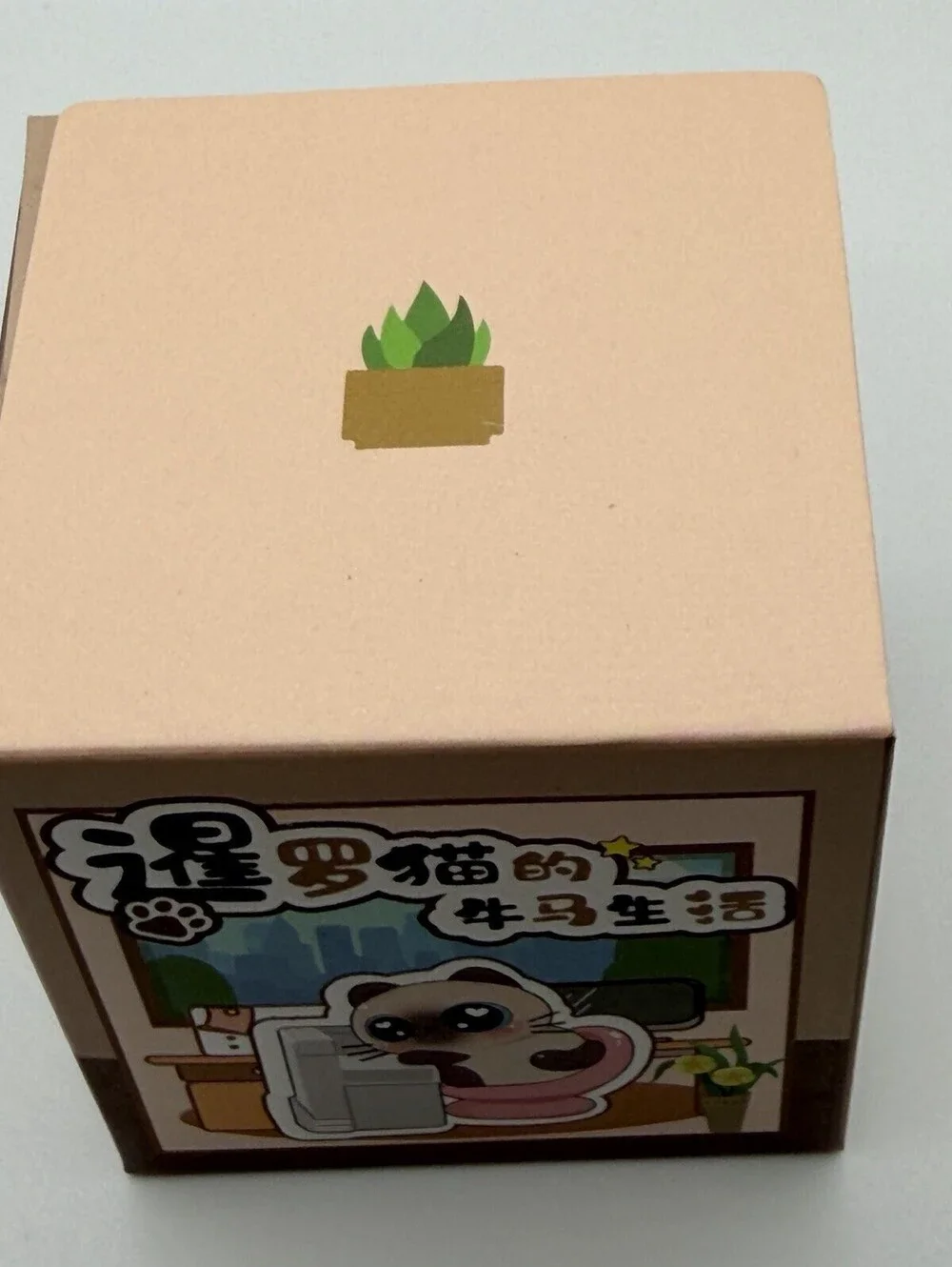 Siamese Cat Blind Box Mystery Figure Sealed Designer Art Toy Cute Collectible